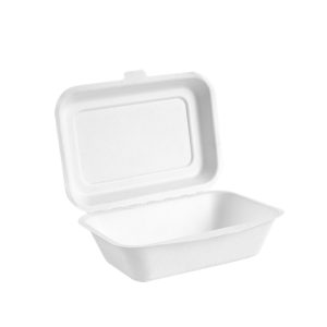 600ml Bagasse Lunch Box